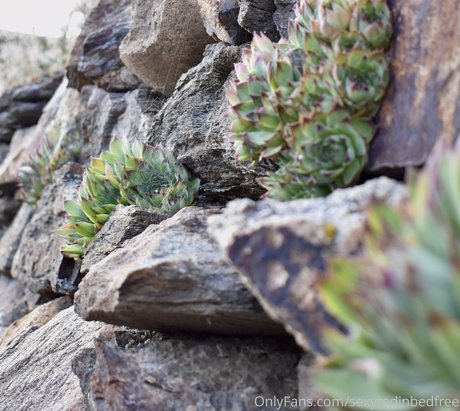 sexyredinbedfree haut étoile images