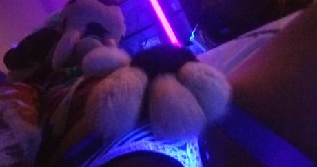 bigtittytusky star exclusive photo