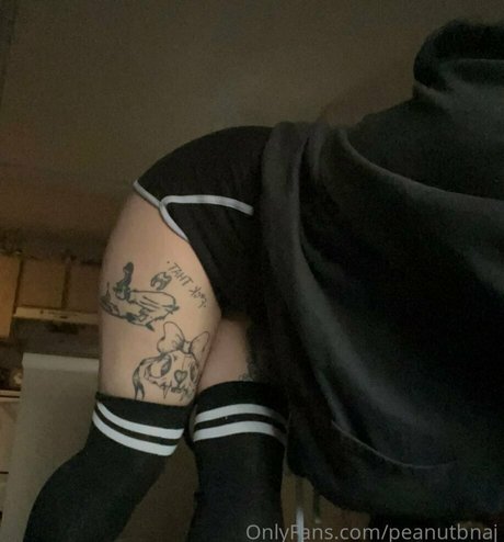 ajinssne étoile de l'art collection