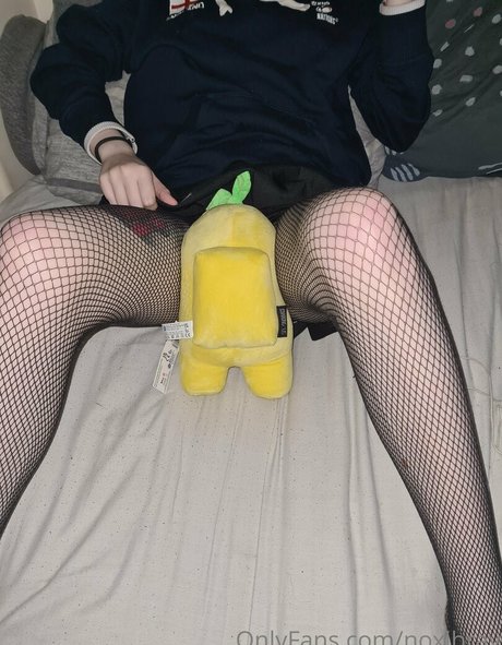 noxibray haut modèle galerie