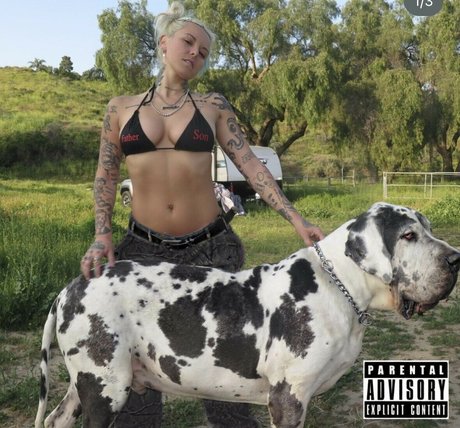 Lauren Sanderson meilleure star du porno photos