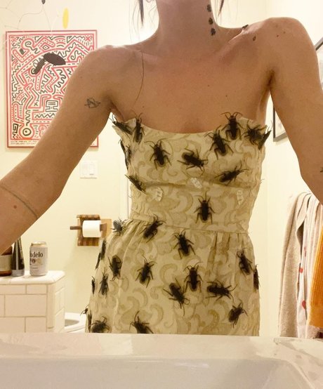 Scout Willis étoile sympa images