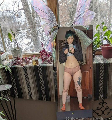 ellepix meilleure étoile galerie