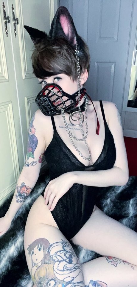 Emberwolf Fotoaufnahmen