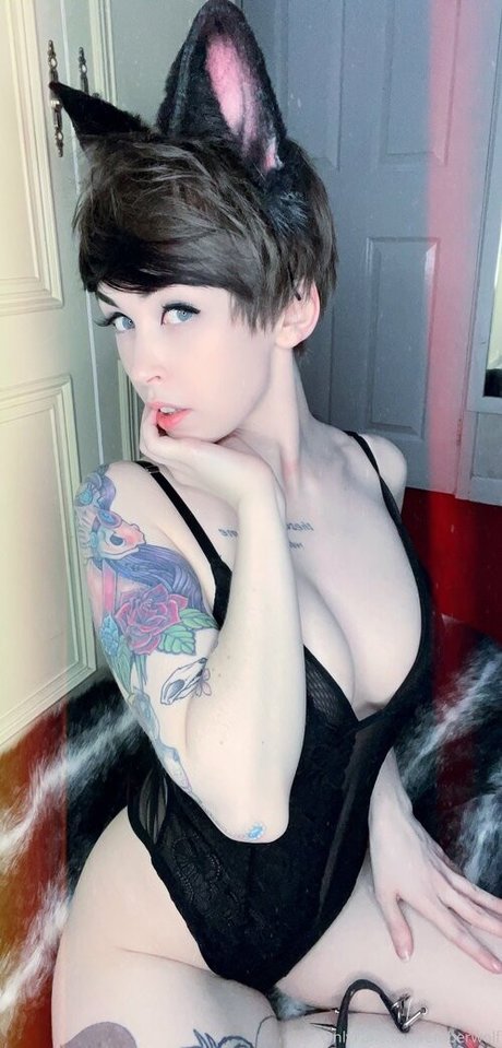 Emberwolf étoile exclusive img