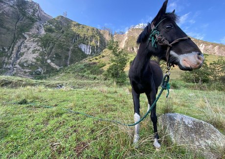 the real ninja girl modèle de sexe images