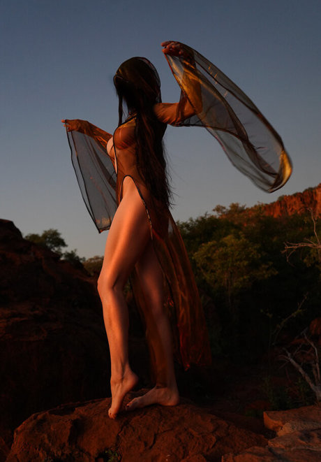 Sharon Ehman étoile sexy archive