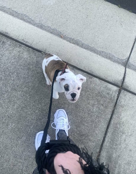 kaitimackenzie nus de stars du porno archive