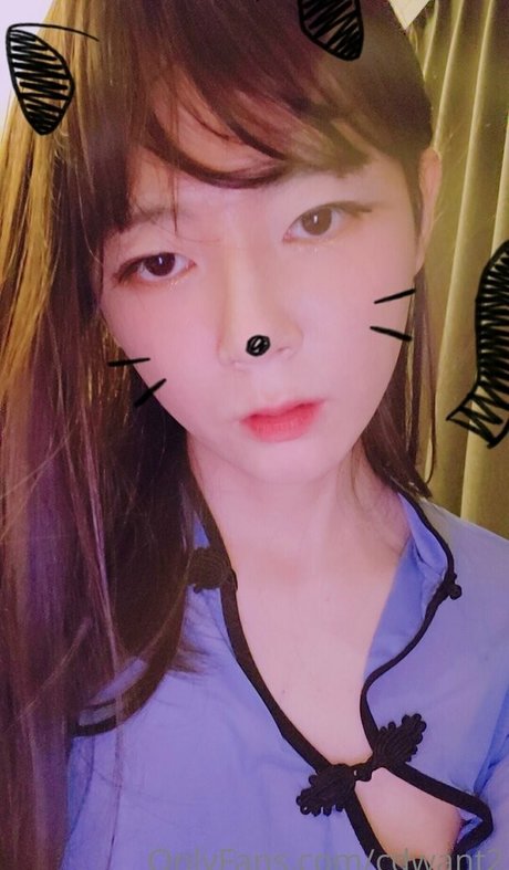 cdwant2 étoile de l'art galerie