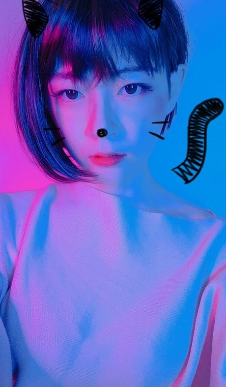 cdwant2 art modèle collection