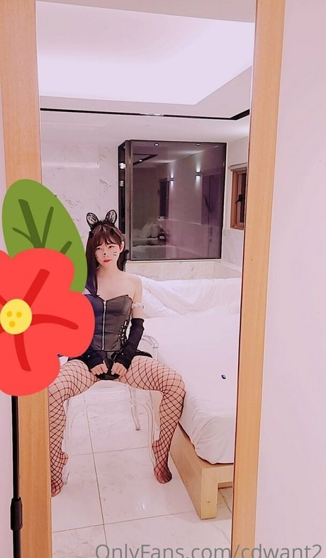 fans asiatiques mignons uniquement haute qualité gratuit photo