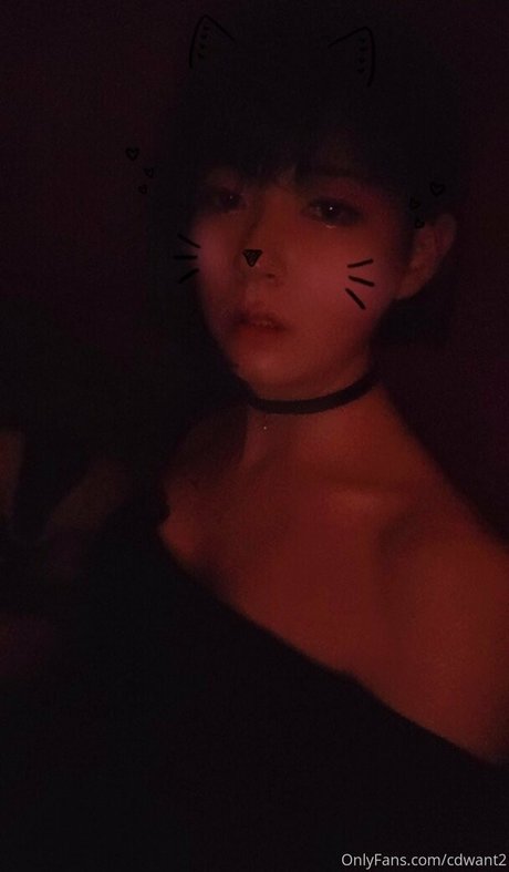 cdwant2 étoile xxx img