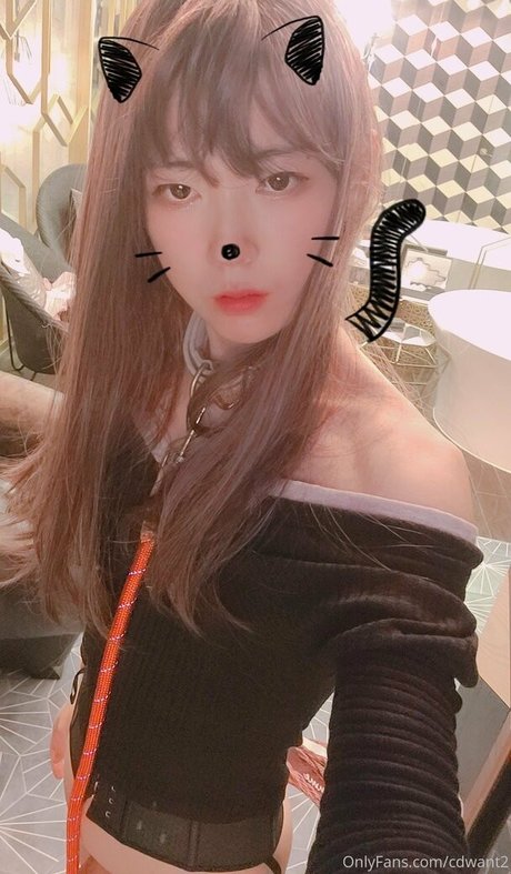 cdwant2 art star du porno collection