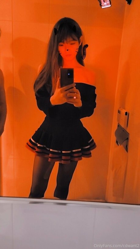 cdwant2 art de star du porno image