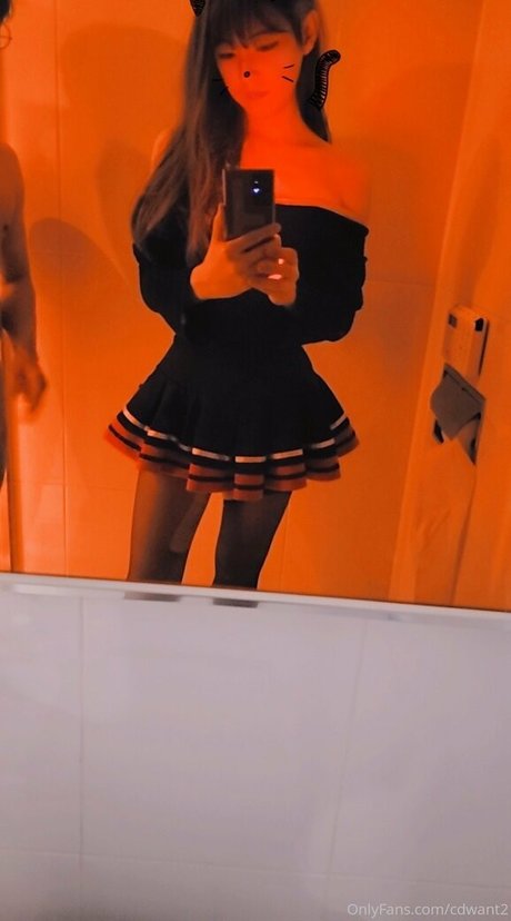 cdwant2 modèle exclusif collection