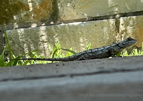 Brooklynspringvalley actrice de sexe galerie