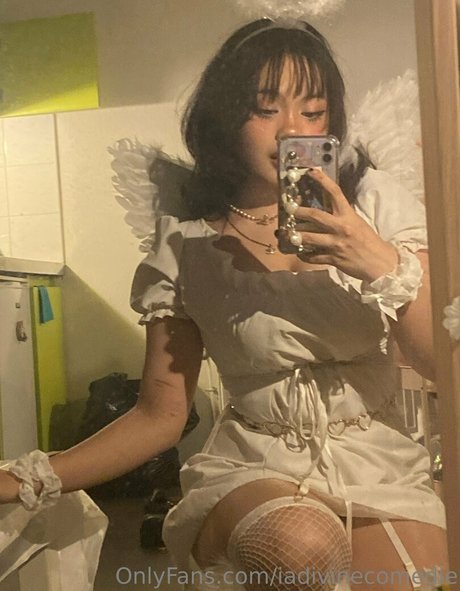 iadivinecomedie art modèle collection