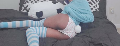 panda squaree étoile chaude galerie