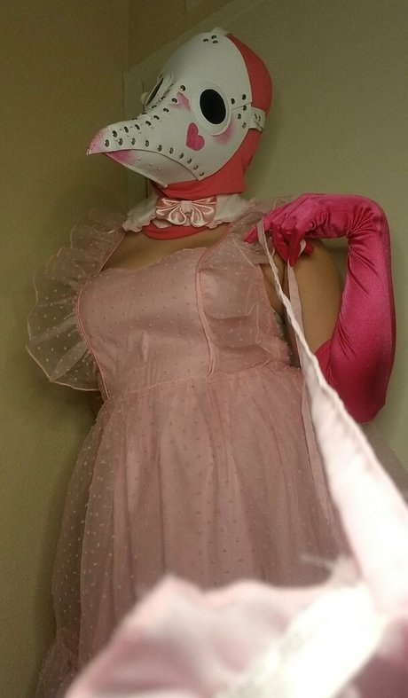 PDoctress étoile parfaite galeries