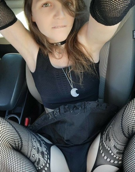 Hexakush nus étoiles photo