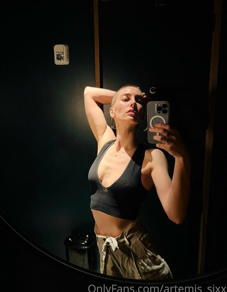 artemis sixx meilleur modèle img