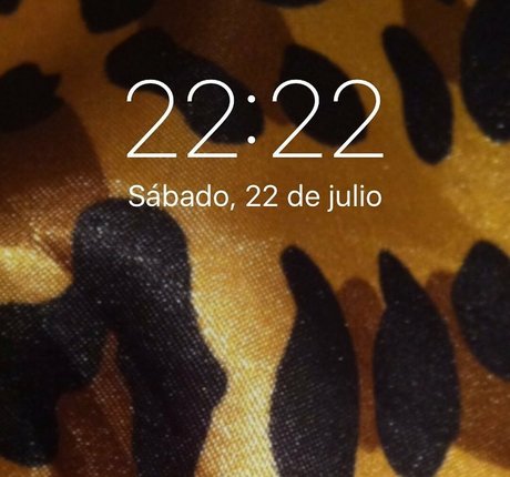 Gatina 22 modèle exclusif galeries