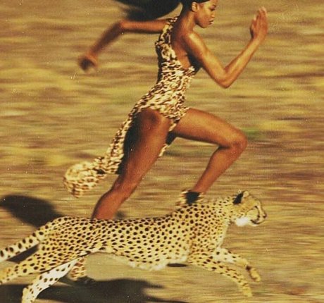 Gatina 22 Fotoaufnahmen