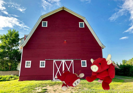 Marie Sweets star pornographique images