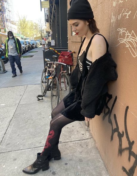 bambicat top star des photos