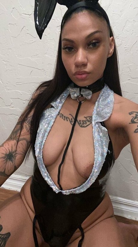 dreamty star du porno sympa collection