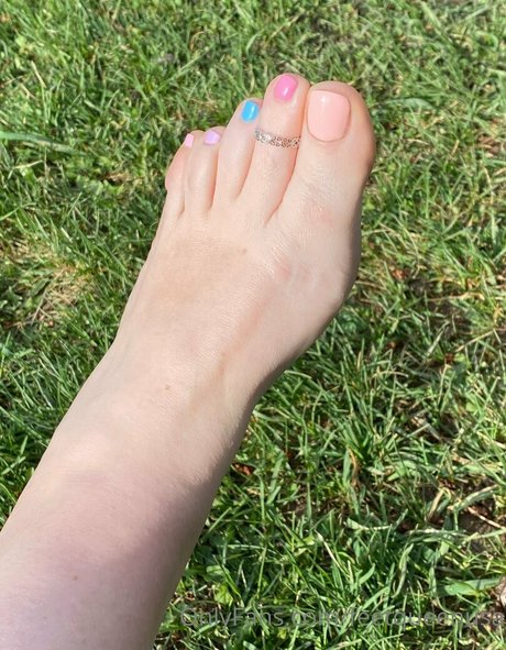 clovers photos étoile gratuite galerie