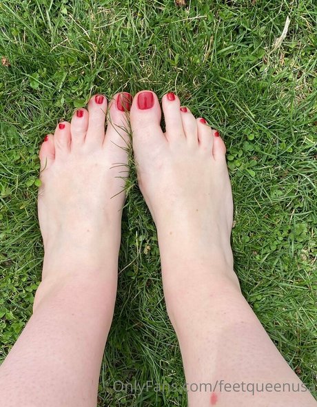 clovers photos étoile de haute qualité photo