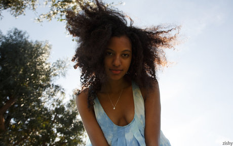 Dreamfuck420 étoile érotique collection