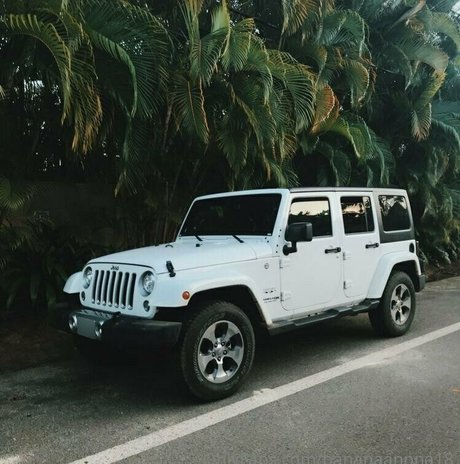 bottes onlyfans les meilleurs nus des photos