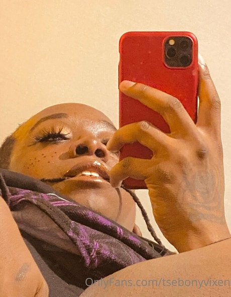 tsebonyvixen nus de stars du porno image