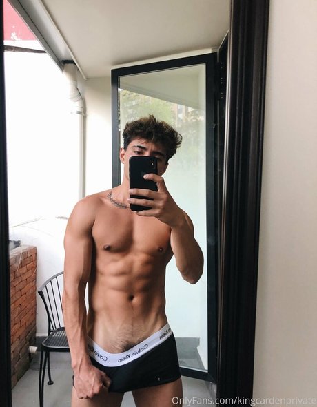 prettyboyaedan haut modèle image