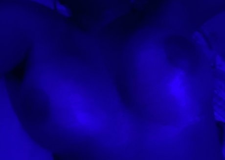 jerri thedancer actrice chaude image