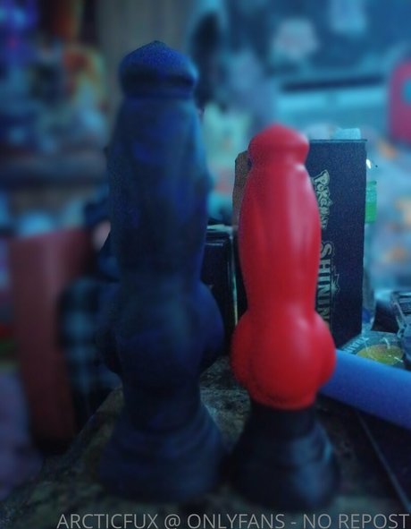 arcticfux joli modèle galerie