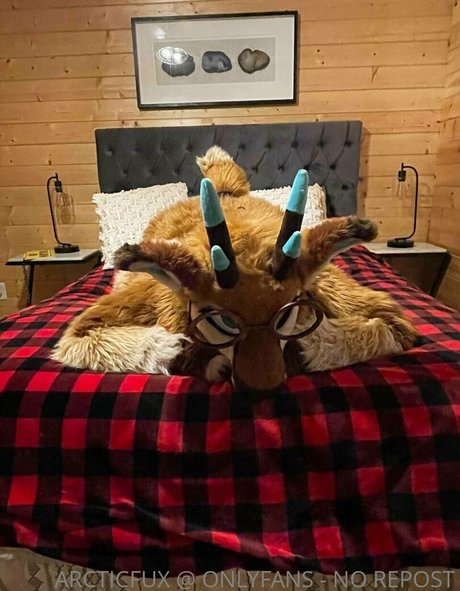 arcticfux haut de star du porno photos