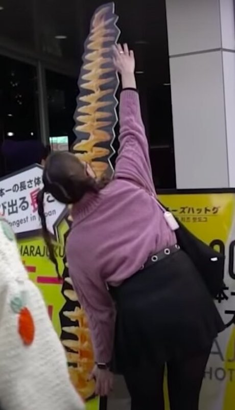 Seerasan art étoile collection