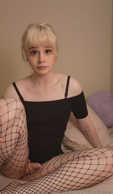 Tsfaebiee étoile adulte images