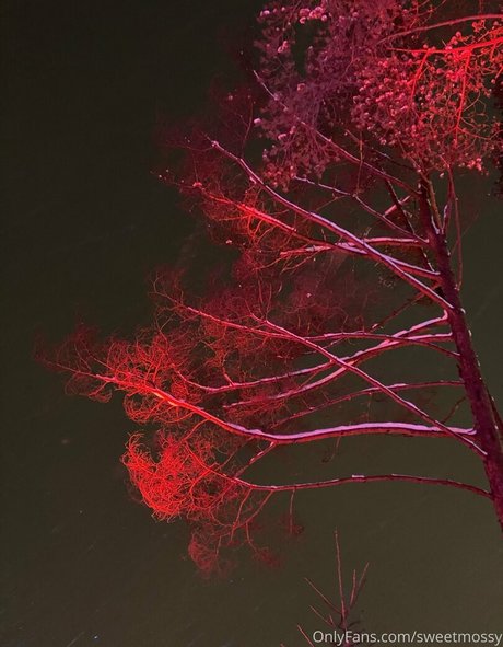 vigo onlyfans chaud joli photos