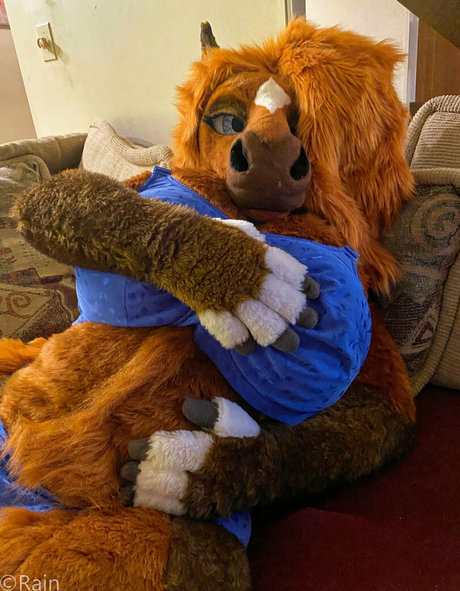 rain horsie art modèle img