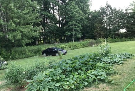 lovesamantha nus étoiles collection