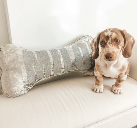 Coco Lodge actrice libre img