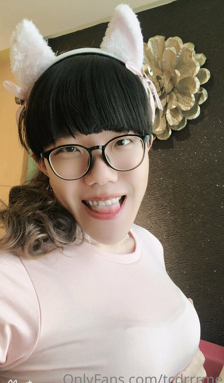 tcdrrrme modèle sympa galerie