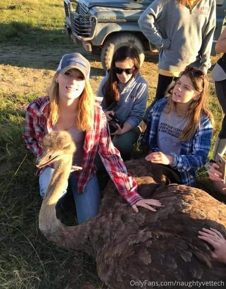 naughtyvettech actrice pornographique image