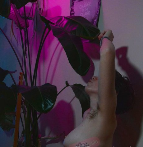 Wrendosia star du porno belle collection