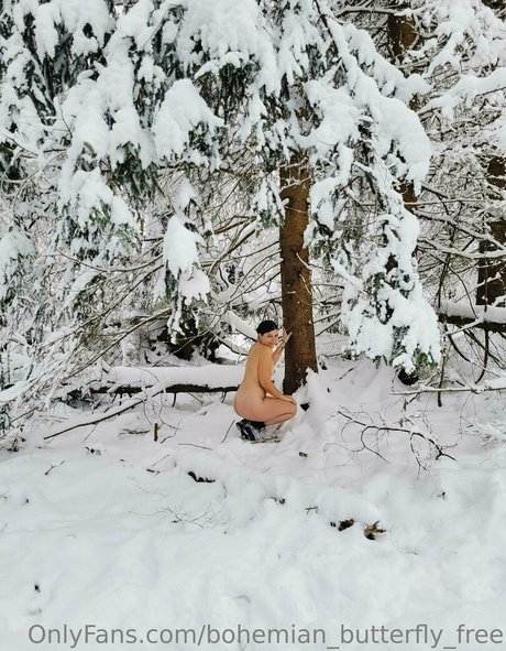 bohemian butterfly free meilleure étoile image