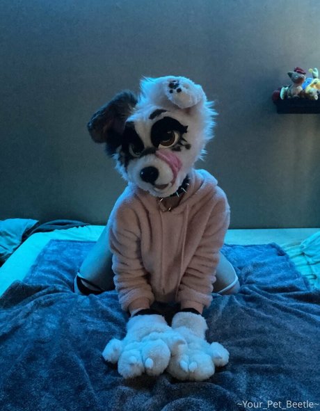 strwbrryinsides étoile xxx image